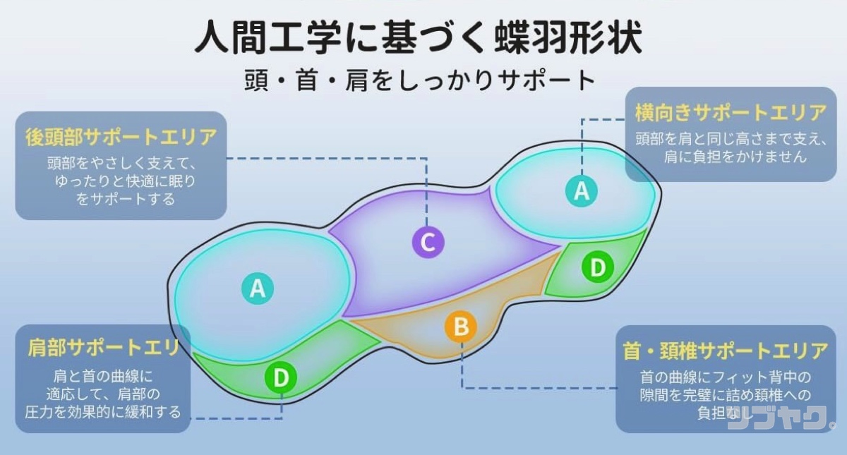 蝶型立体構造