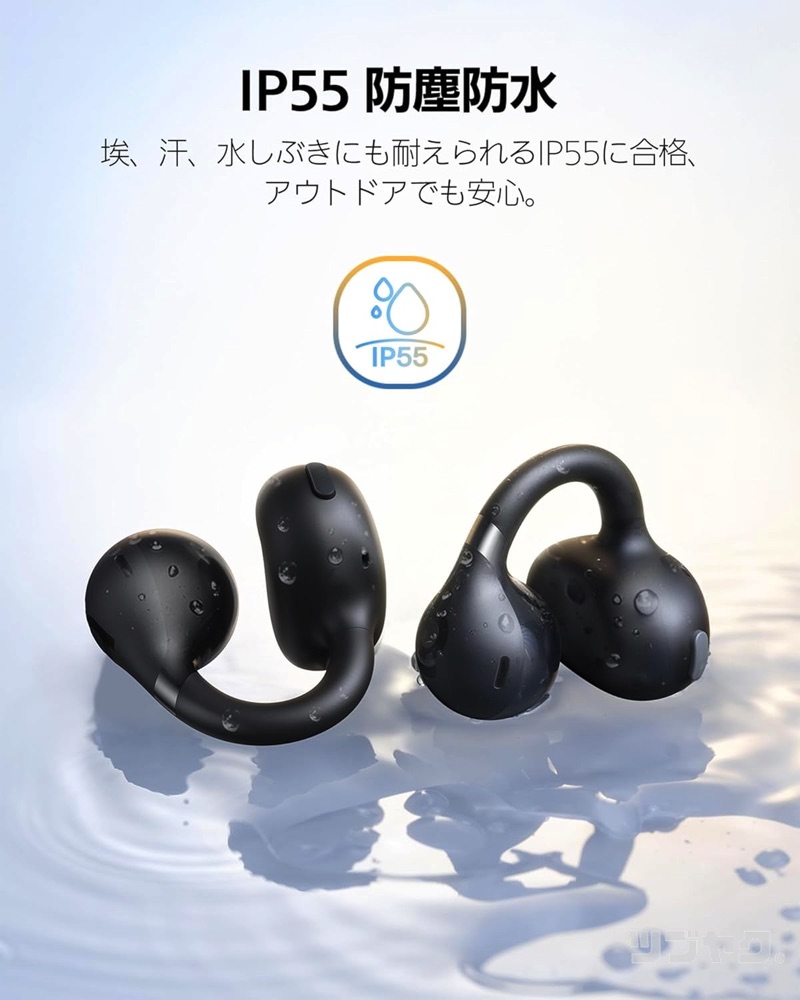 IP55