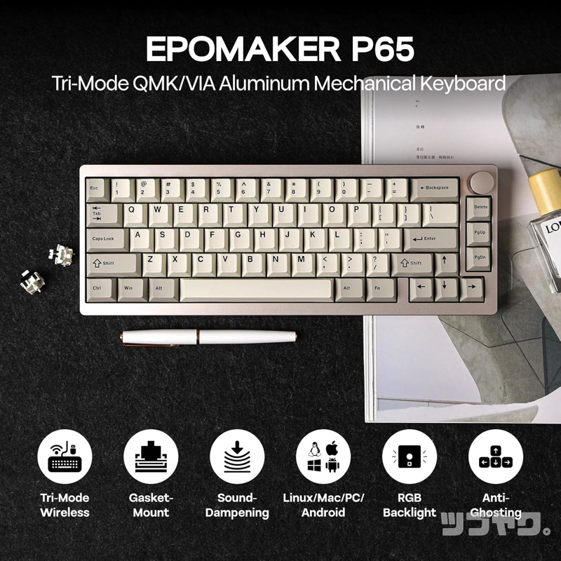 P65 概要