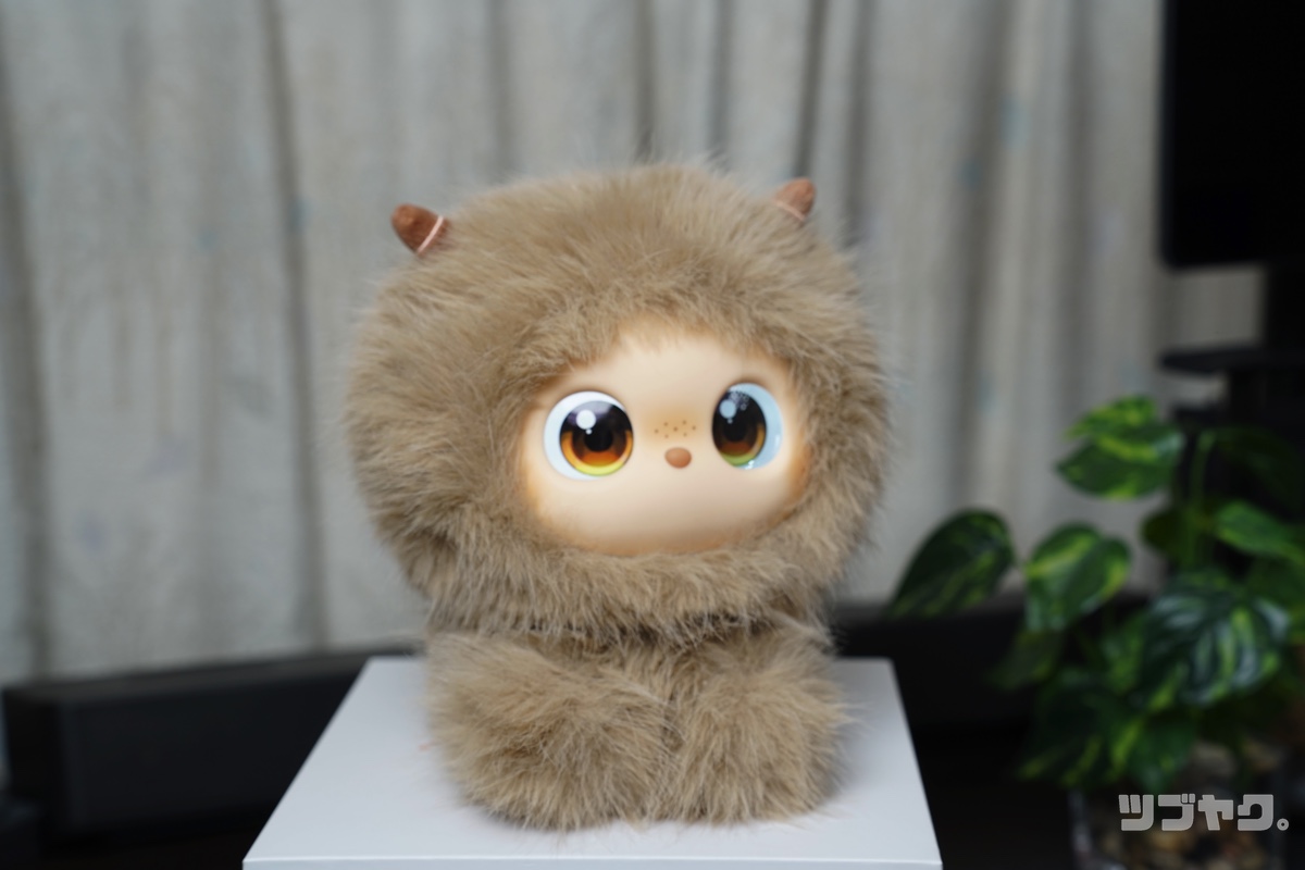 メインイメージ