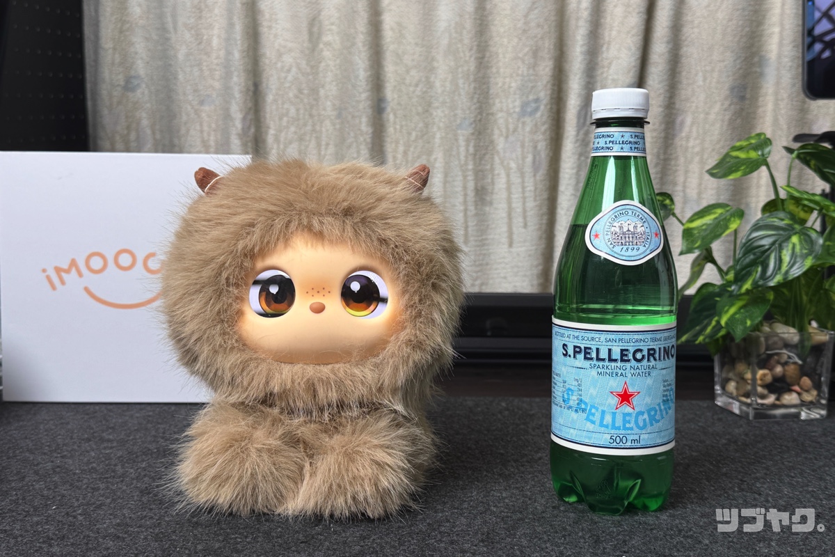 500mlのペットボトルと